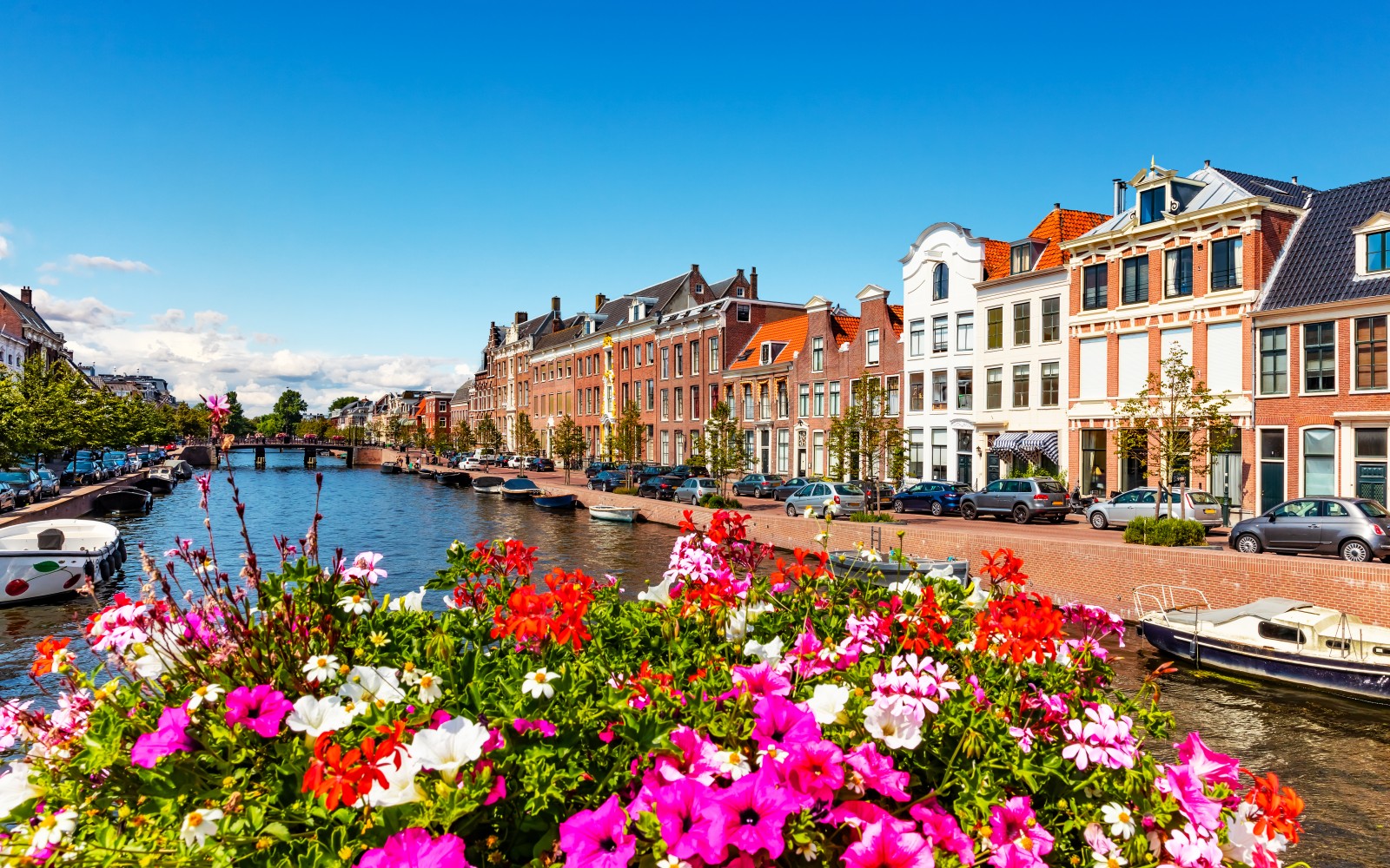 World Wide Airport Transfers